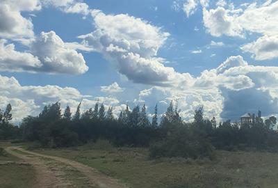 48 ac Land in Isinya - 2