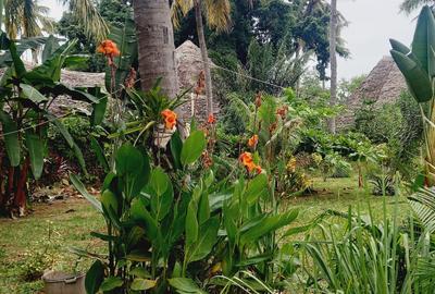 3 Bed Villa with En Suite in Mtwapa - 4