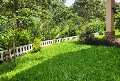5 Bed Townhouse with En Suite in Rosslyn - 4