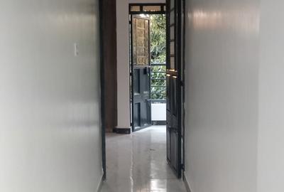 Studio Apartment in Ruaka - 3