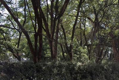0.75 ac Land at Riara Road - 3