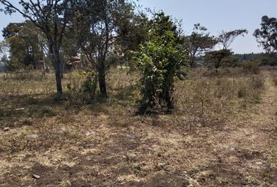Residential Land at Merisho Road
