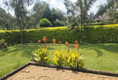 3 Bed Townhouse with En Suite at Ibis Crescent - 4