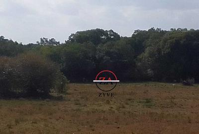 88 ac Land at Ol Choro Conservancy - 2