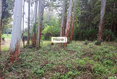 0.156 ac Land in Kikuyu Town - 2