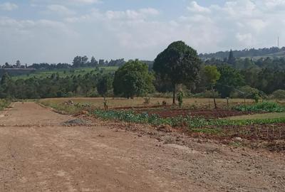 0.5 ac Residential Land in Tigoni - 3