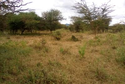 Land at Namanga Rd - 3