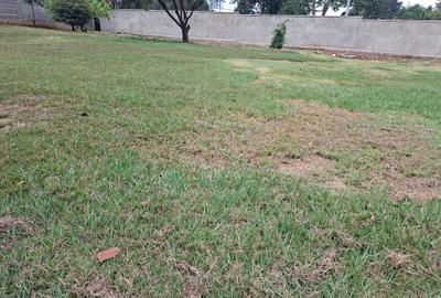 5,000 ft² Commercial Property with Backup Generator at Off Un Crescent - 3