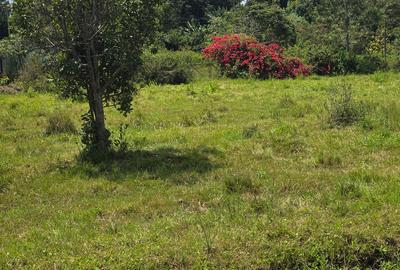 Land in Karen - 2
