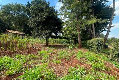 Residential Land in Tigoni - 3