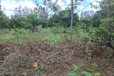 0.045 ha Land in Murang'a County - 2