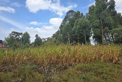 Land at Next To Tilisi Estate - 4