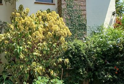 4 Bed House with En Suite in Gigiri - 3