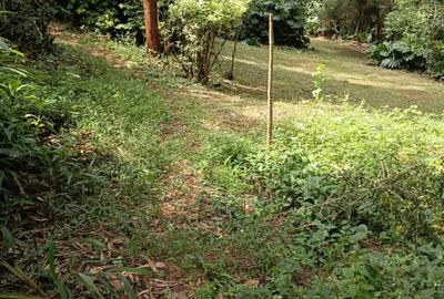 Residential Land at Thika Superhighway - 3