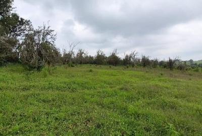 3 ac Land at Nazareth Road - 2