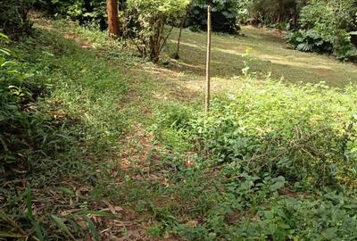 Residential Land at Thika Superhighway - 4