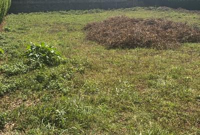 Residential Land in Muthaiga - 3