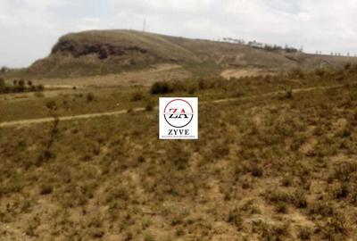 57 ac Land at Edana Road - 4