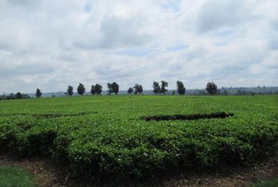 Commercial Land at Kiambu Road - 4