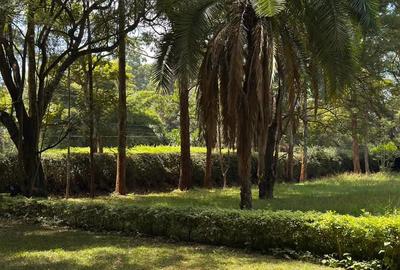 Residential Land in Karen - 4