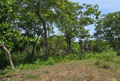 1.2 ac Land at Mtwapa Creekside - 3