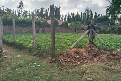 0.25 ac Land at Ls221 - 3