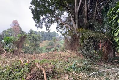 1 ac Land in Kitisuru - 4