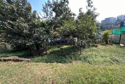Land at Riara