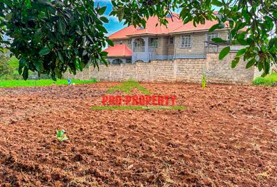 0.05 ha Residential Land at Ondiri - 3