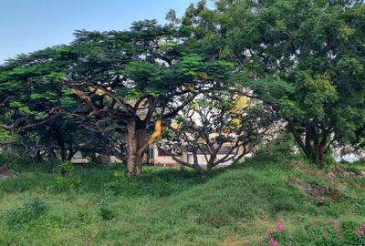 500 m² Land at Serena - 3