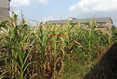 500 m² Commercial Land in Kikuyu Town - 3