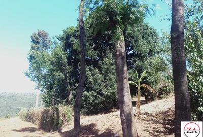15 ac Land at Touching Nanyuki River - 2