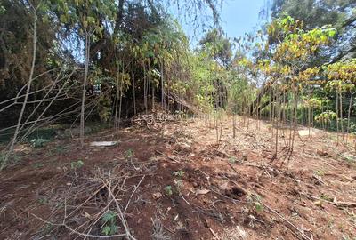 Residential Land in Lavington