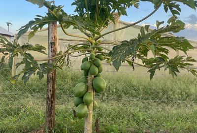 Land in Athi River - 4