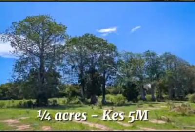 Land at Vipingo - 3