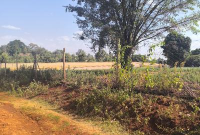 Land at Muhuri Road - 3