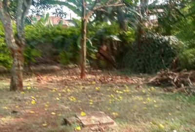 3 Bed House in Runda - 2