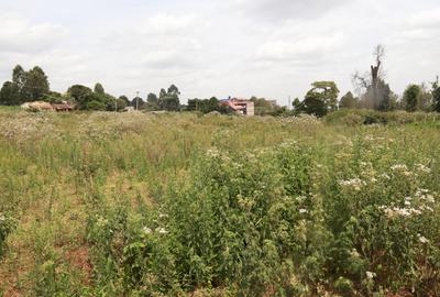 0.125 ac Commercial Land at Muchatha - 2