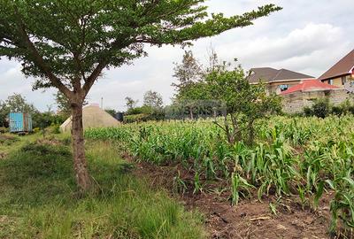 1 ac Land in Ruiru - 4
