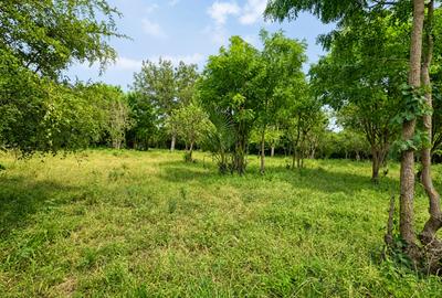22 ac Land at Kondutsi