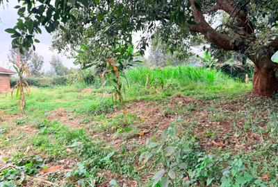 1.2 ac Land in Lower Kabete - 4