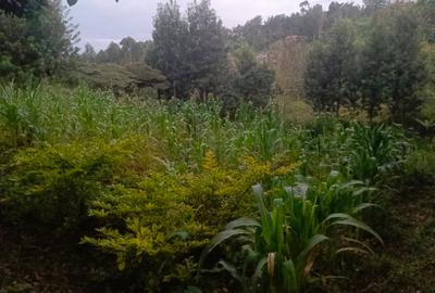Land in Ngong