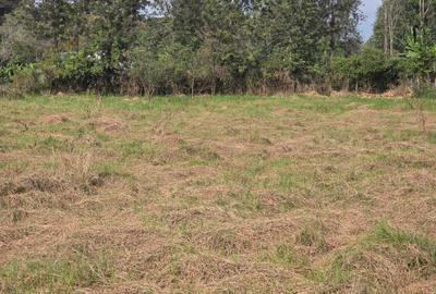 Residential Land in Karen - 4