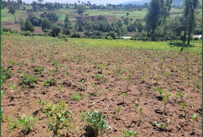 Land in Narok