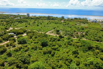 10 ac Land in Vipingo - 2