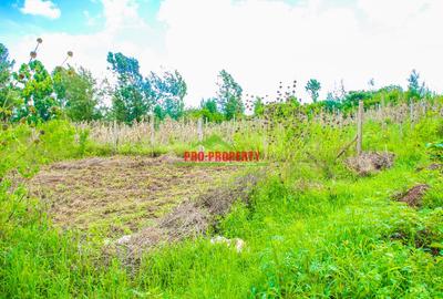 0.07 ha Residential Land at Gikambura - 4