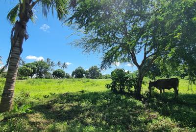 1 m² Land at Bomani - 2