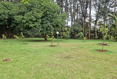 3 Bed Townhouse with En Suite at Close To Braeburn School - 3