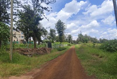 1,000 m² Land in Tatu City