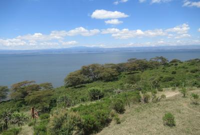Land at Moi North Lake Rd - 2